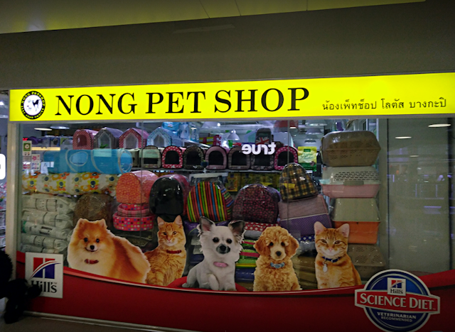Nong pet shop