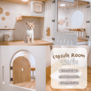 Capsule Room