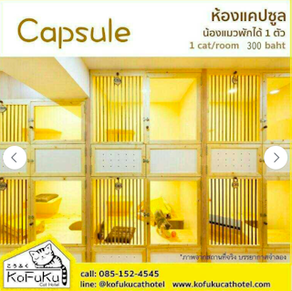 Capsule Room