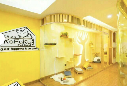 Kofuku Cat Hotel Sukhumvit39