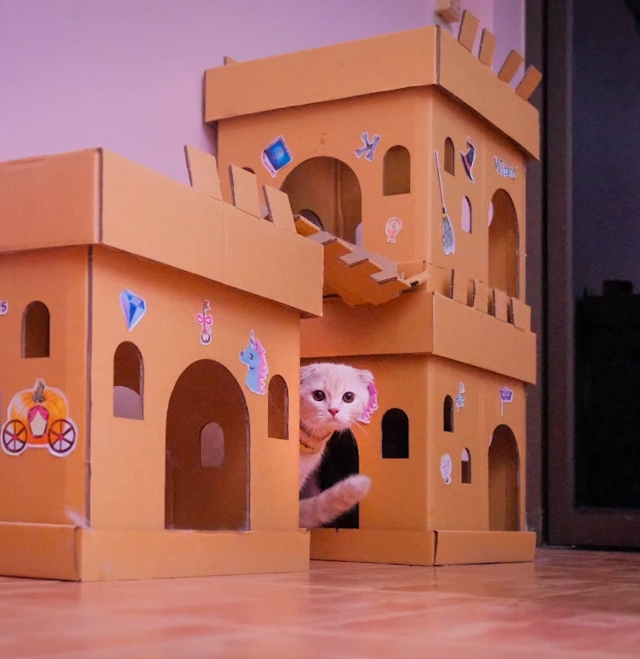 Meaw Sabuy Cat House