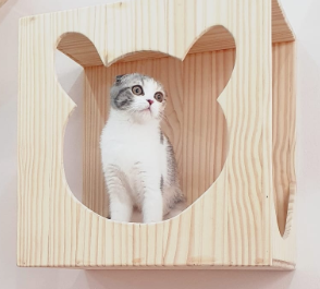 Mable Cat Hotel