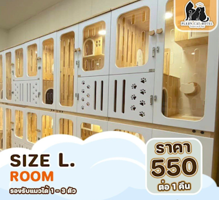 Size L Room