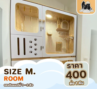 Size M Room
