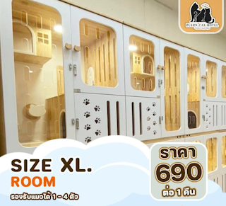 Size XL Room
