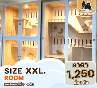 Size XXL Room 