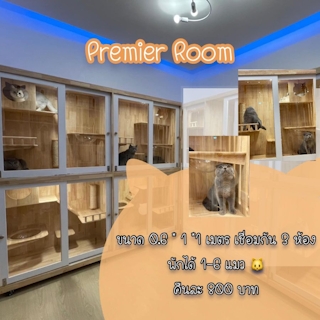 Premier Room