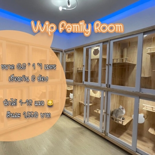 Vvip Family Room