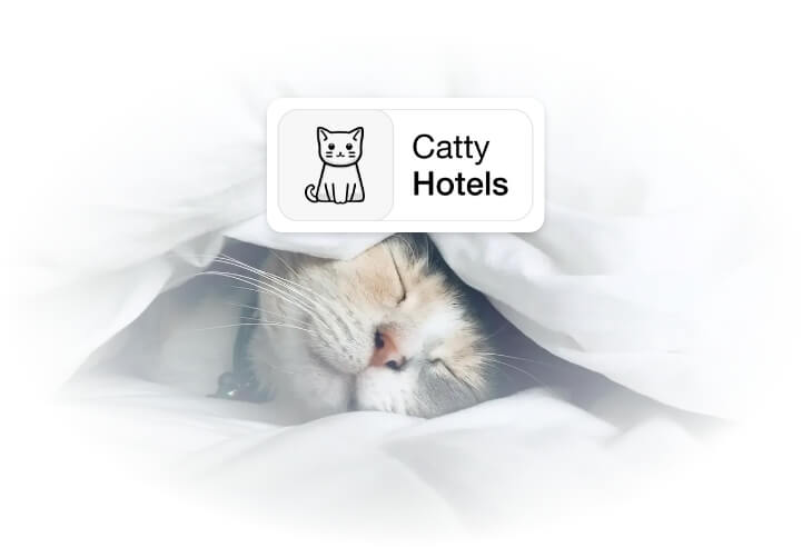 Cat Hotels Room Rental Catty Hotels